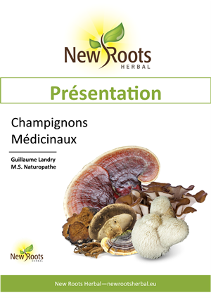 portada webinar slides Champignons